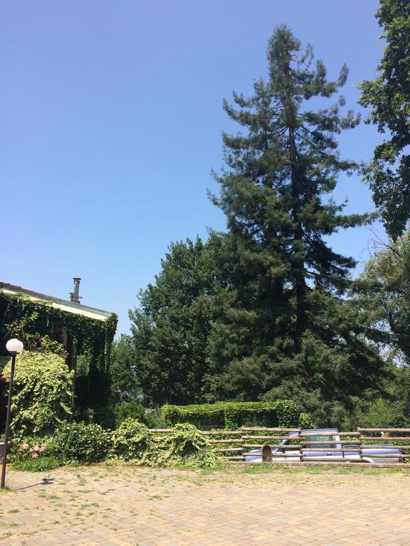 Fattoria Sequoia Castagneto Po Exterior photo
