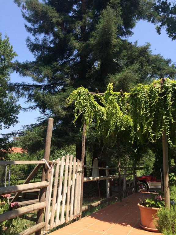 Fattoria Sequoia Castagneto Po Room photo